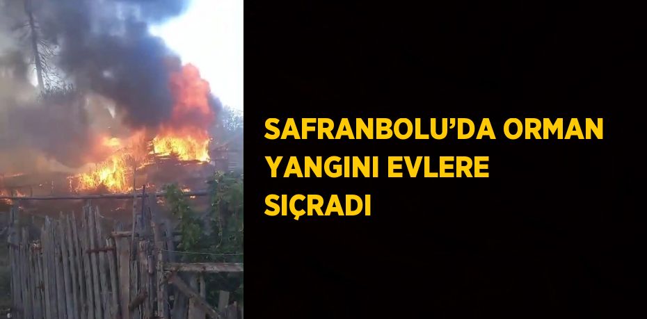 SAFRANBOLU’DA ORMAN YANGINI EVLERE SIÇRADI