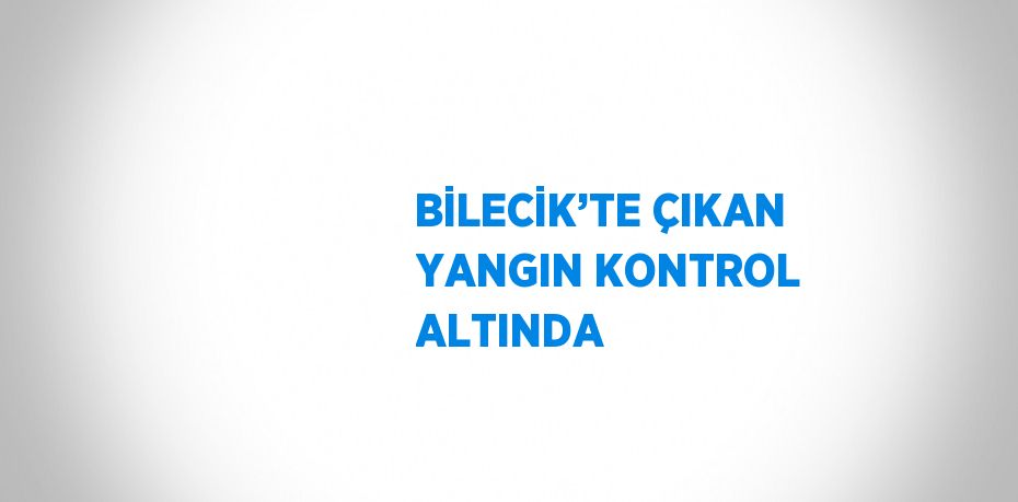 BİLECİK’TE ÇIKAN YANGIN KONTROL ALTINDA