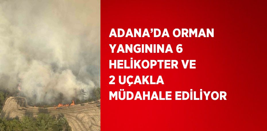 ADANA’DA ORMAN YANGININA 6 HELİKOPTER VE 2 UÇAKLA MÜDAHALE EDİLİYOR