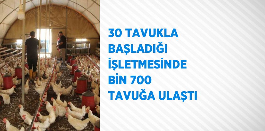 30 TAVUKLA BAŞLADIĞI İŞLETMESİNDE BİN 700 TAVUĞA ULAŞTI