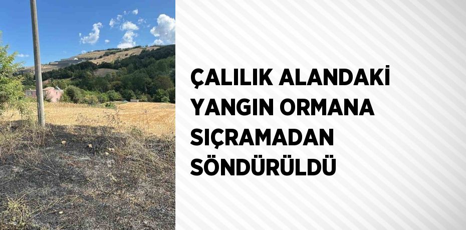 ÇALILIK ALANDAKİ YANGIN ORMANA SIÇRAMADAN SÖNDÜRÜLDÜ
