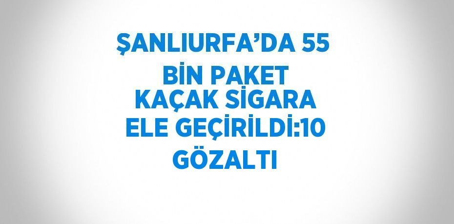 ŞANLIURFA’DA 55 BİN PAKET KAÇAK SİGARA ELE GEÇİRİLDİ:10 GÖZALTI