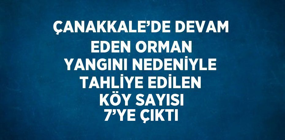 ÇANAKKALE’DE DEVAM EDEN ORMAN YANGINI NEDENİYLE TAHLİYE EDİLEN KÖY SAYISI 7’YE ÇIKTI