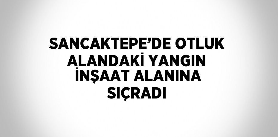 SANCAKTEPE’DE OTLUK ALANDAKİ YANGIN İNŞAAT ALANINA SIÇRADI