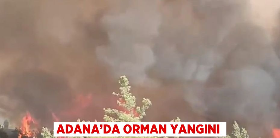 ADANA’DA ORMAN YANGINI