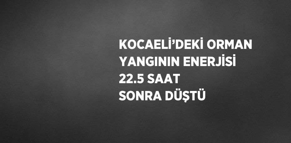 KOCAELİ’DEKİ ORMAN YANGININ ENERJİSİ 22.5 SAAT SONRA DÜŞTÜ