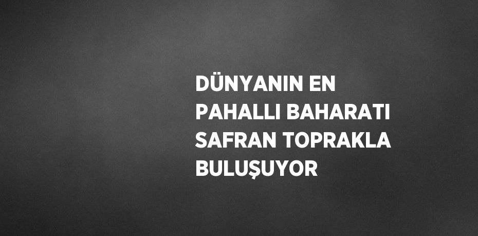 DÜNYANIN EN PAHALLI BAHARATI SAFRAN TOPRAKLA BULUŞUYOR