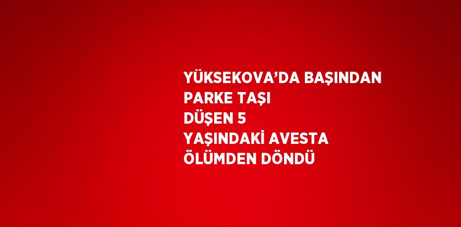 YÜKSEKOVA’DA BAŞINDAN PARKE TAŞI DÜŞEN 5 YAŞINDAKİ AVESTA ÖLÜMDEN DÖNDÜ