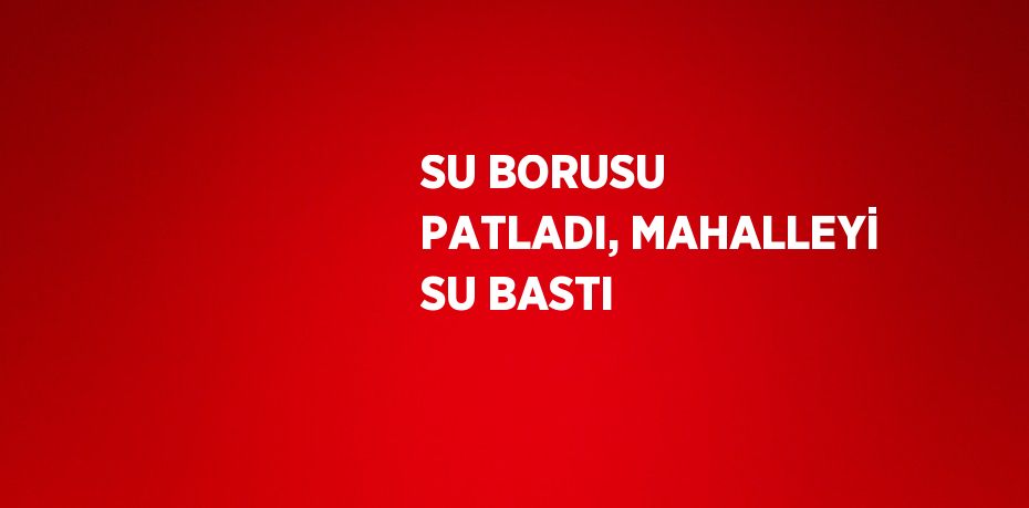SU BORUSU PATLADI, MAHALLEYİ SU BASTI
