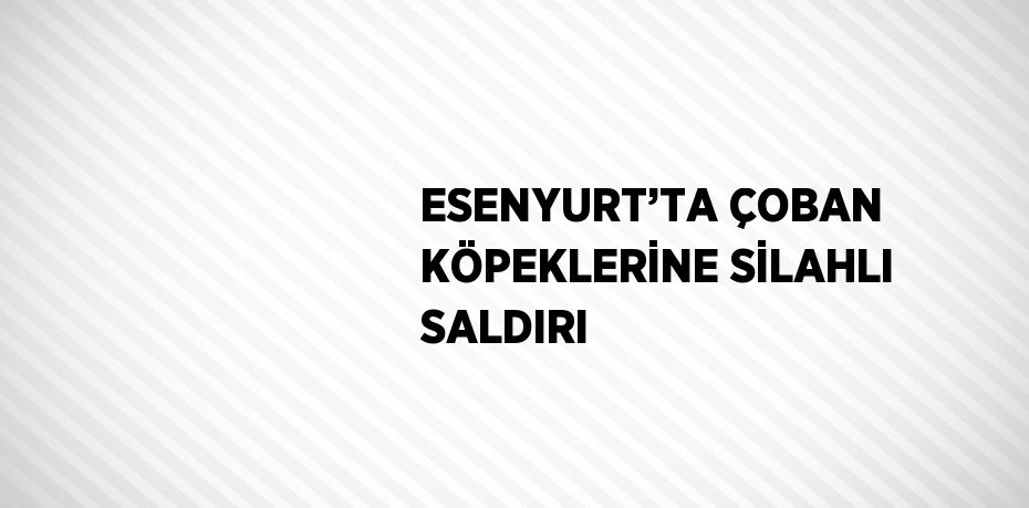 ESENYURT’TA ÇOBAN KÖPEKLERİNE SİLAHLI SALDIRI