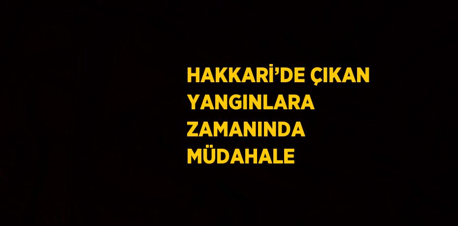 HAKKARİ’DE ÇIKAN YANGINLARA ZAMANINDA MÜDAHALE