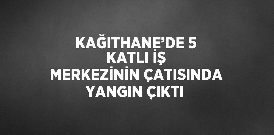 KAĞITHANE’DE 5 KATLI İŞ MERKEZİNİN ÇATISINDA YANGIN ÇIKTI