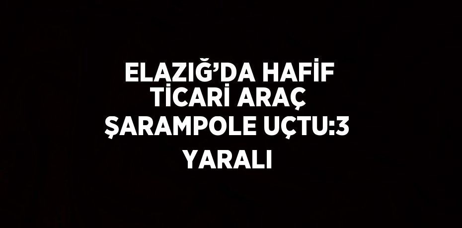 ELAZIĞ’DA HAFİF TİCARİ ARAÇ ŞARAMPOLE UÇTU:3 YARALI