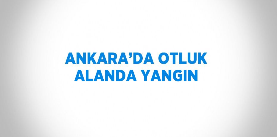 ANKARA’DA OTLUK ALANDA YANGIN
