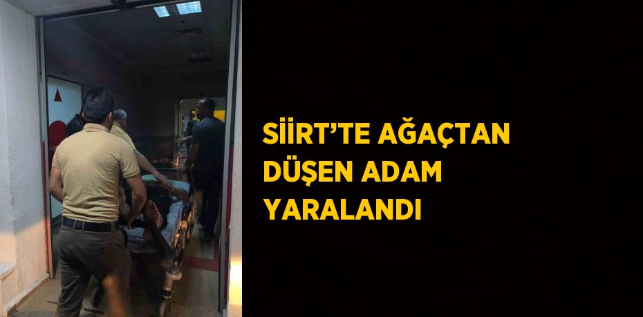 SİİRT’TE AĞAÇTAN DÜŞEN ADAM YARALANDI