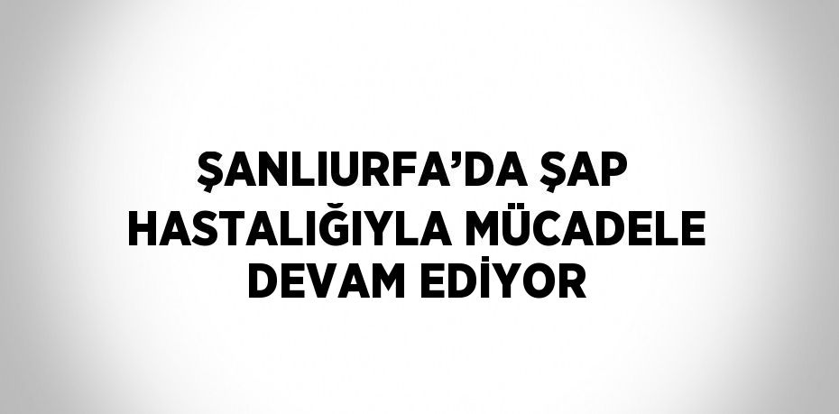 ŞANLIURFA’DA ŞAP HASTALIĞIYLA MÜCADELE DEVAM EDİYOR