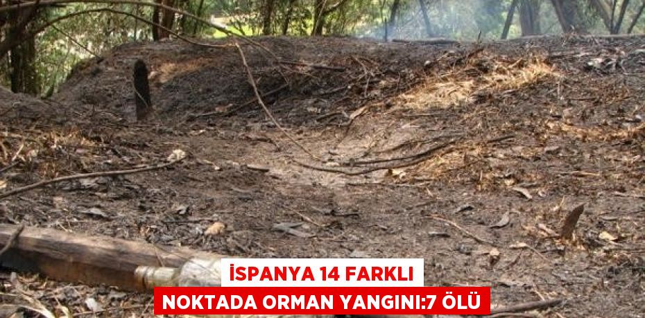 İSPANYA 14 FARKLI NOKTADA ORMAN YANGINI:7 ÖLÜ