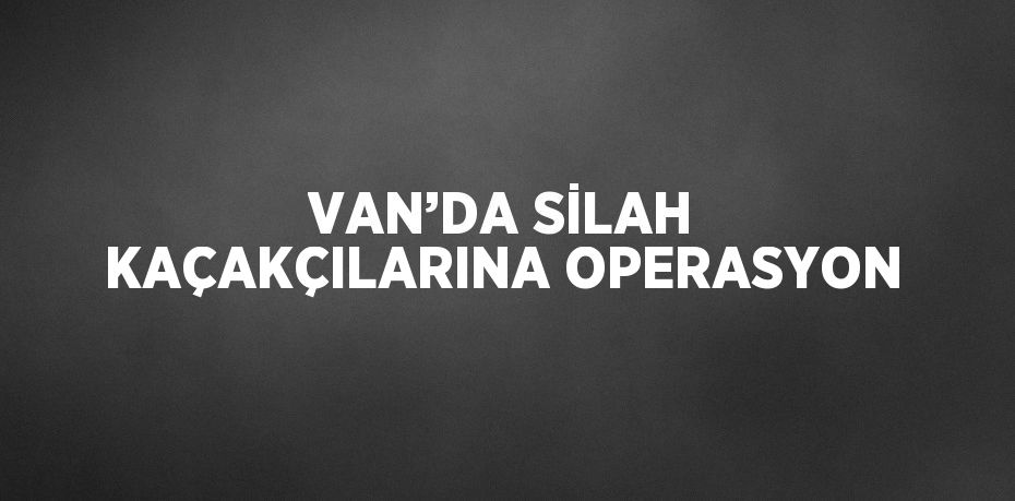 VAN’DA SİLAH KAÇAKÇILARINA OPERASYON