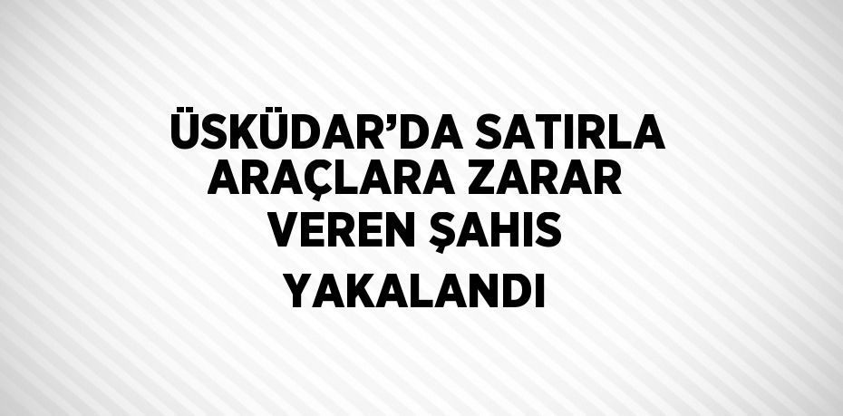 ÜSKÜDAR’DA SATIRLA ARAÇLARA ZARAR VEREN ŞAHIS YAKALANDI