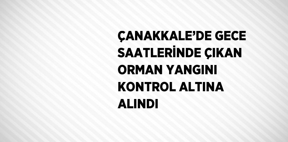 ÇANAKKALE’DE GECE SAATLERİNDE ÇIKAN ORMAN YANGINI KONTROL ALTINA ALINDI