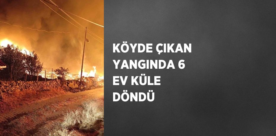 KÖYDE ÇIKAN YANGINDA 6 EV KÜLE DÖNDÜ