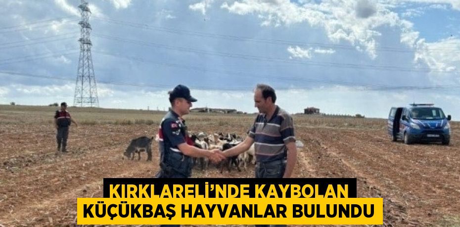 KIRKLARELİ’NDE KAYBOLAN KÜÇÜKBAŞ HAYVANLAR BULUNDU