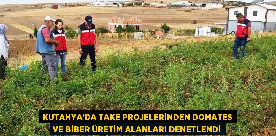 KÜTAHYA’DA TAKE PROJELERİNDEN DOMATES VE BİBER ÜRETİM ALANLARI DENETLENDİ