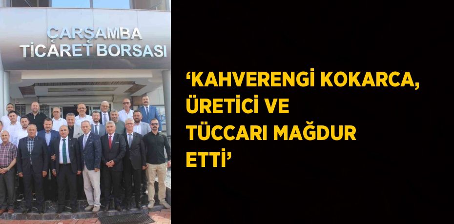 ‘KAHVERENGİ KOKARCA, ÜRETİCİ VE TÜCCARI MAĞDUR ETTİ’