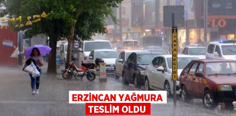 ERZİNCAN YAĞMURA TESLİM OLDU