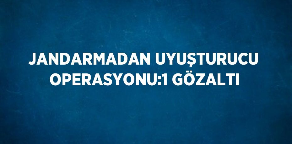 JANDARMADAN UYUŞTURUCU OPERASYONU:1 GÖZALTI