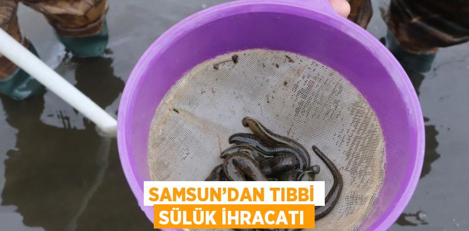 SAMSUN’DAN TIBBİ SÜLÜK İHRACATI