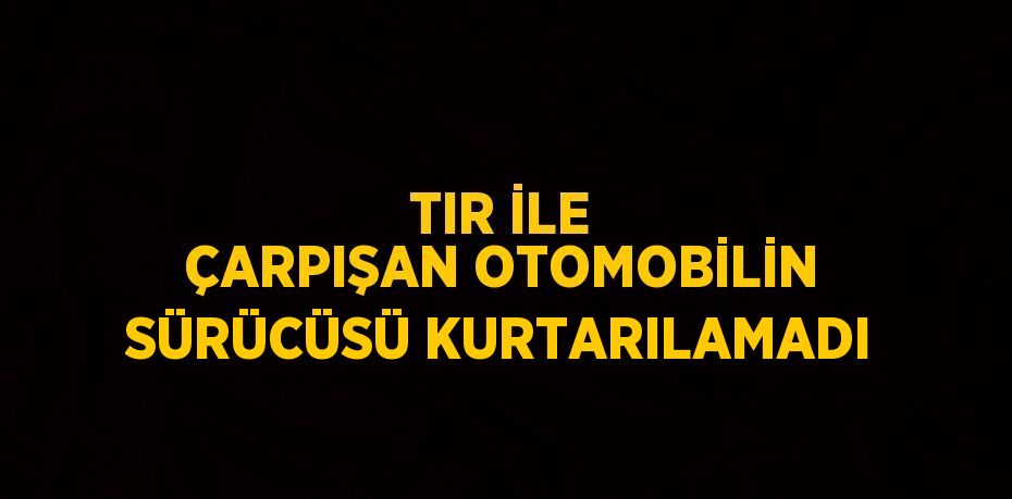 TIR İLE ÇARPIŞAN OTOMOBİLİN SÜRÜCÜSÜ KURTARILAMADI