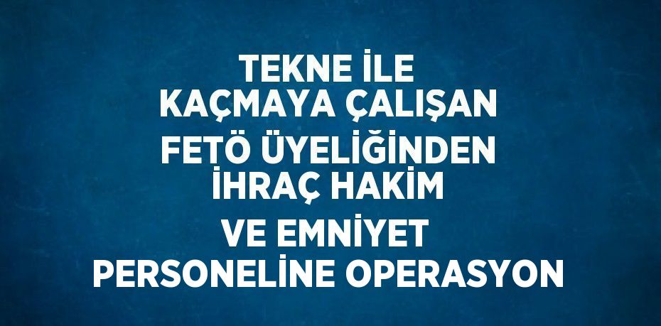 TEKNE İLE KAÇMAYA ÇALIŞAN FETÖ ÜYELİĞİNDEN İHRAÇ HAKİM VE EMNİYET PERSONELİNE OPERASYON