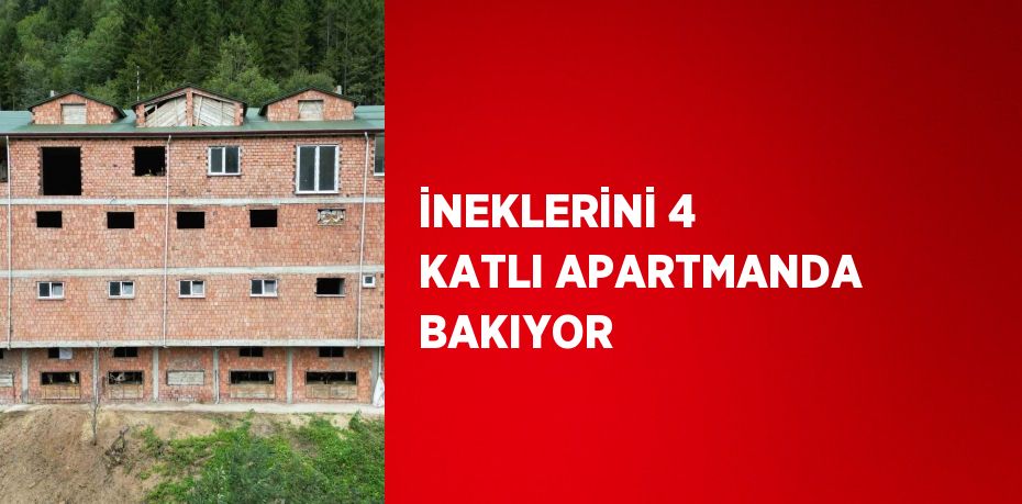 İNEKLERİNİ 4 KATLI APARTMANDA BAKIYOR