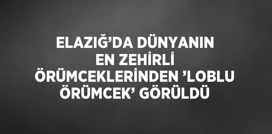 ELAZIĞ’DA DÜNYANIN EN ZEHİRLİ ÖRÜMCEKLERİNDEN ’LOBLU ÖRÜMCEK’ GÖRÜLDÜ