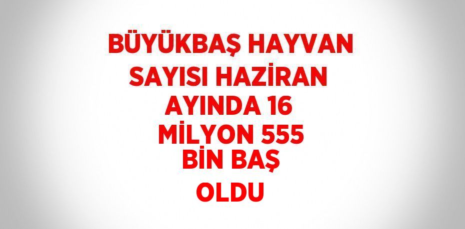 BÜYÜKBAŞ HAYVAN SAYISI HAZİRAN AYINDA 16 MİLYON 555 BİN BAŞ OLDU