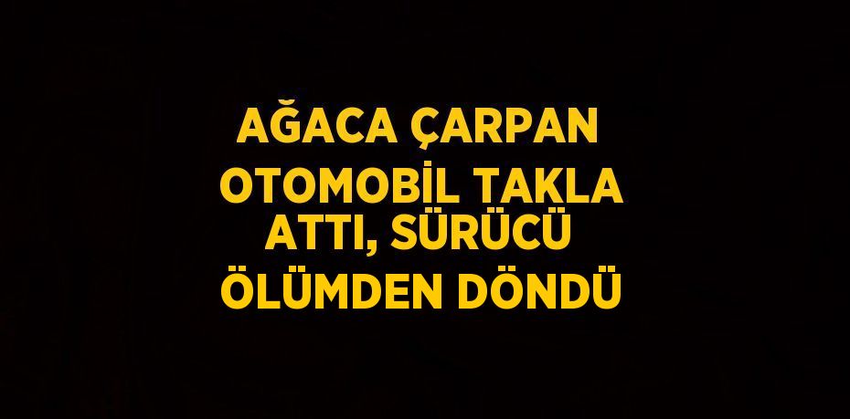 AĞACA ÇARPAN OTOMOBİL TAKLA ATTI, SÜRÜCÜ ÖLÜMDEN DÖNDÜ