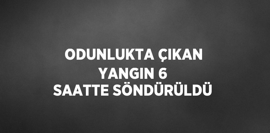 ODUNLUKTA ÇIKAN YANGIN 6 SAATTE SÖNDÜRÜLDÜ