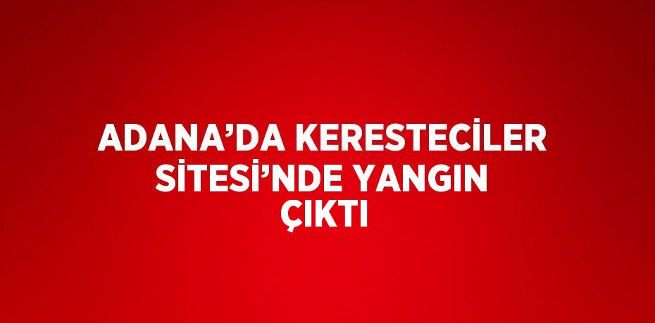 ADANA’DA KERESTECİLER SİTESİ’NDE YANGIN ÇIKTI