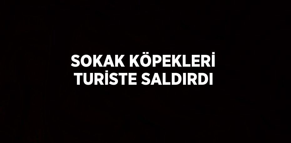 SOKAK KÖPEKLERİ TURİSTE SALDIRDI