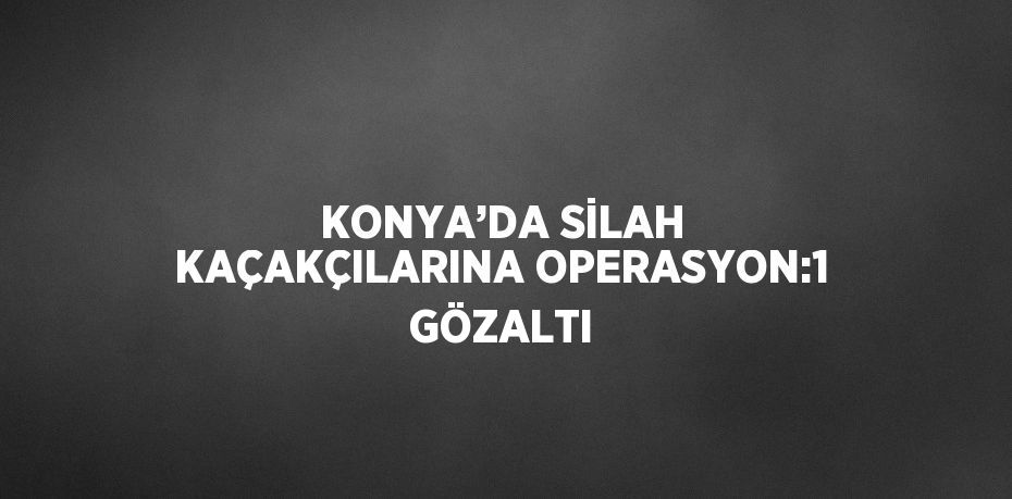 KONYA’DA SİLAH KAÇAKÇILARINA OPERASYON:1 GÖZALTI