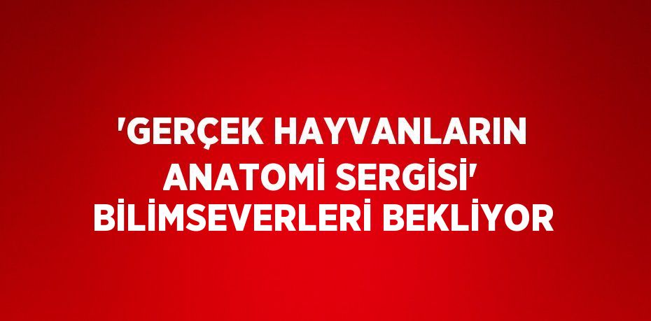 'GERÇEK HAYVANLARIN ANATOMİ SERGİSİ' BİLİMSEVERLERİ BEKLİYOR