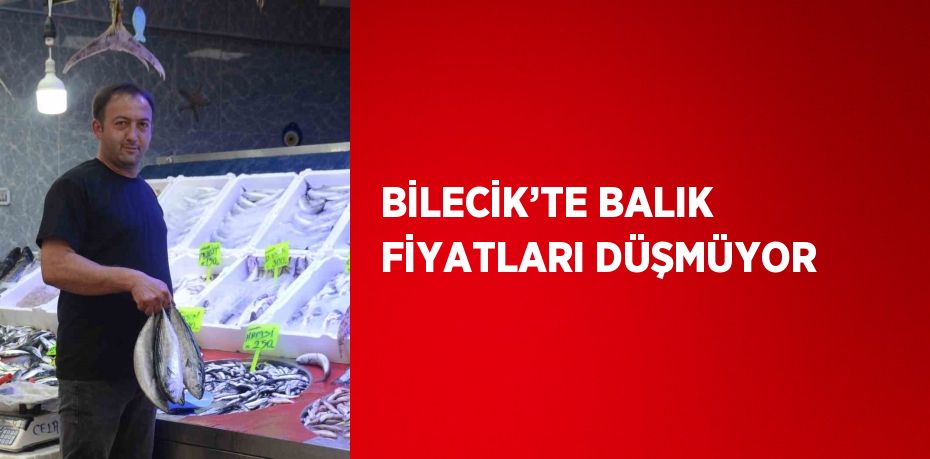 BİLECİK’TE BALIK FİYATLARI DÜŞMÜYOR