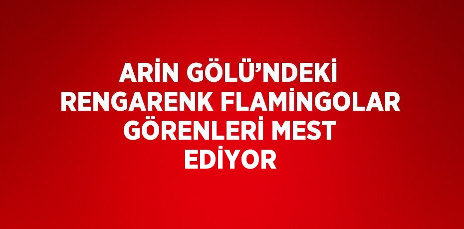 ARİN GÖLÜ’NDEKİ RENGARENK FLAMİNGOLAR GÖRENLERİ MEST EDİYOR