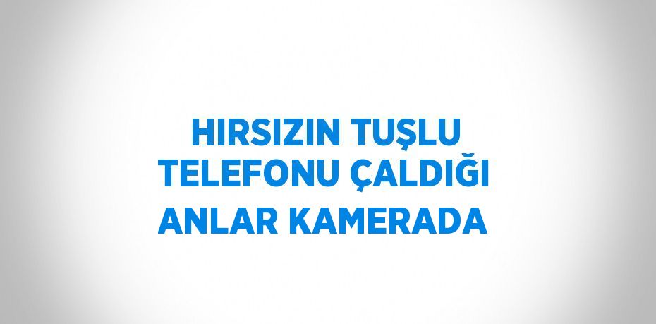 HIRSIZIN TUŞLU TELEFONU ÇALDIĞI ANLAR KAMERADA