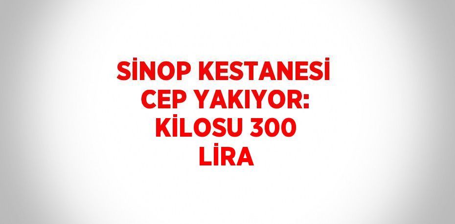 SİNOP KESTANESİ CEP YAKIYOR: KİLOSU 300 LİRA