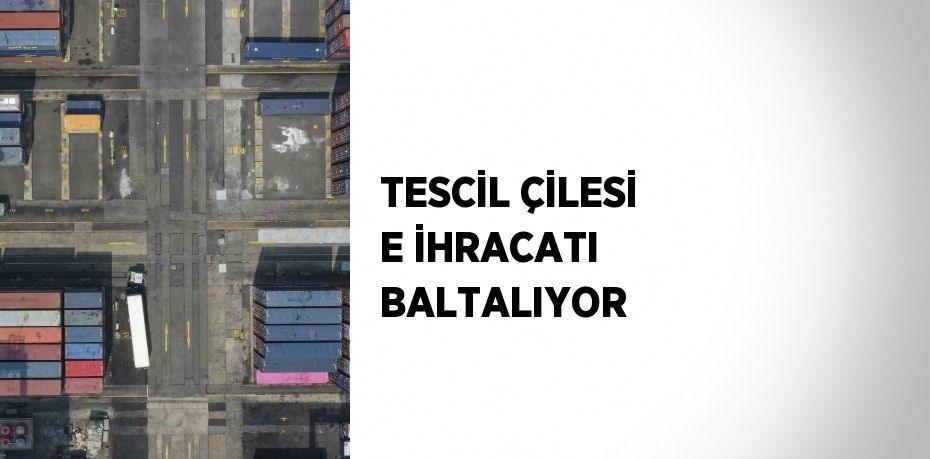 TESCİL ÇİLESİ E İHRACATI BALTALIYOR