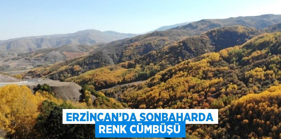 ERZİNCAN’DA SONBAHARDA RENK CÜMBÜŞÜ