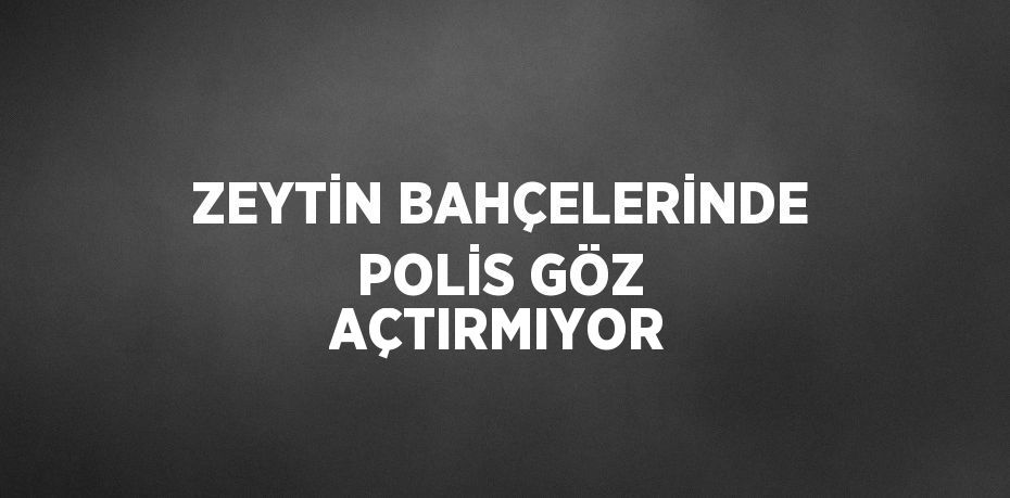 ZEYTİN BAHÇELERİNDE POLİS GÖZ AÇTIRMIYOR