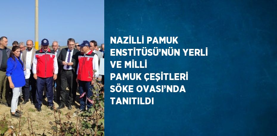 NAZİLLİ PAMUK ENSTİTÜSÜ’NÜN YERLİ VE MİLLİ PAMUK ÇEŞİTLERİ SÖKE OVASI’NDA TANITILDI